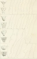 An illustration from The stones of Venice (1851)