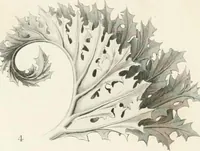 An illustration from The stones of Venice (1851)