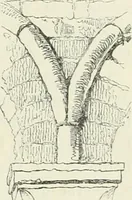 Picture 34 of 40 from The stones of Venice (1851), leaf 302