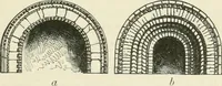Picture 8 of 40 from The stones of Venice (1851), leaf 70