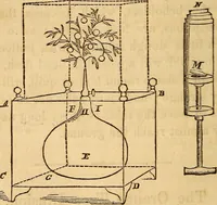 An illustration from Ventriloquism made easy, also, an exposure of magic, and the second sight mystery (1860)