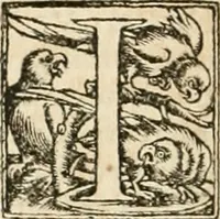 An illustration from Verae alchemiae artis'qve metallicae citra aenigmata, doctrina, certvs'qve modus, scriptis tum nouis tum ueteribus nunc primùm & fideliter maiori ex parte editis, comprehensus : quorum elenchum à praefatione reperies (1561)