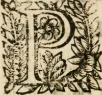 An illustration from Vera e compita relatione della solennissima caualcata fatta in Roma alli 9. di maggio 1655 nell' andare a pigliar' il possesso la Santità di n. s. papa Alessandro settimo nella basilica di S. Giouanni Laterano ... : aggiuntoui la creatione e nascita di esso sommo pontefice (1655)