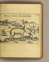 Picture 14 of 16 from Vera historia, admirandae cuiusdam nauigationis, quam Huldericus Schmidel, Straubingensis, ab anno 1534. usque ad annum 1554. in Americam vel nouum mundum, iuxta Brasiliam & Rio della Plata, confecit. : Quid per hosce annos 19. sustinuerit, quam varias & quam mirandas regiones ac homines viderit. Ab ipso Schmidelio Germanice, descripta: nunc vero, emandatis & correctis vrbium, regionum & fluminum nominibus, adiecta etiam tabula geographica, figuris, & alijs notationibus quibusdam, in hac forma reducta (1599), leaf 111