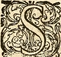 An illustration from Verclaringe ende verhael hoe de Heere Wouter Raleighe, Ridder, hem ghedreghen heeft, soo wel in sijne voyaghe al in ende sedert sijne wedercomste : ... naer de coppe tot London, by Bonham Norton (1619)