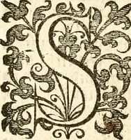 An illustration from Verclaringe ende verhael hoe de Heere Wouter Raleighe, Ridder, hem ghedreghen heeft, soo wel in sijne voyaghe al in ende sedert sijne wedercomste : ... naer de coppe tot London, by Bonham Norton (1619)