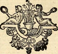 An illustration from Verclaringe ende verhael hoe de Heere Wouter Raleighe, Ridder, hem ghedreghen heeft, soo wel in sijne voyaghe al in ende sedert sijne wedercomste : ... naer de coppe tot London, by Bonham Norton (1619)