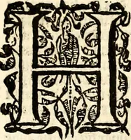 An illustration from Verclaringe ende verhael hoe de Heere Wouter Raleighe, Ridder, hem ghedreghen heeft, soo wel in sijne voyaghe al in ende sedert sijne wedercomste : ... naer de coppe tot London, by Bonham Norton (1619)