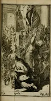 Picture 12 of 19 from Verhandeling van de oude orakelen der heydenen (1687), leaf 220