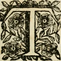 An illustration from Veridico racconto dell' origine, progressi e miracoli della Madonna di Reggio : con la descrittione d'alcune solennità, e del tempio : dichiarandosi le di lui pitture e sculture, e nominandosi gl' autori di quelle (1666)