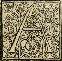 An illustration from Veridico racconto dell' origine, progressi e miracoli della Madonna di Reggio : con la descrittione d'alcune solennità, e del tempio : dichiarandosi le di lui pitture e sculture, e nominandosi gl' autori di quelle (1666)