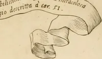 An illustration from Veridico racconto dell' origine, progressi e miracoli della Madonna di Reggio : con la descrittione d'alcune solennità, e del tempio : dichiarandosi le di lui pitture e sculture, e nominandosi gl' autori di quelle (1666)