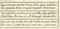 An illustration from Veridicvs Christianvs (1601)