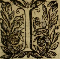 Picture 8 of 8 from Veritas harmonica vtriusque testamenti Alexandro VII. Pontifici ter Maximo (1663), leaf 184