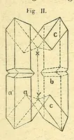 An illustration from Versuche über Pflanzen-Hybriden (1866)