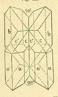 An illustration from Versuche über Pflanzen-Hybriden (1866)
