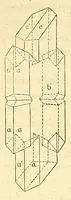 An illustration from Versuche über Pflanzen-Hybriden (1866)