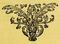 An illustration from Vertooch aen de hoogh en mogende heeren Staten Generael der Vereenichde Nederlanden, nopende de voorgaende ende tegenvvoordighe proceduren van Brasil. : Midtsgaders de doccumenten daer toe dienende (1647)
