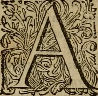 An illustration from 't Verwerd Europa, ofte, Politijke en historische beschryvinge der waare fundamenten en oorsaken van de oorlogen en revolutien in Europa : voornamentlijk in en omtrent de Nederlanden zedert den jaare 1664, gecauseert door de gepretendeerde universele monarchie der Franschen ... (1675)