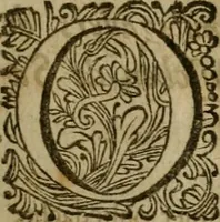 An illustration from 't Verwerd Europa, ofte, Politijke en historische beschryvinge der waare fundamenten en oorsaken van de oorlogen en revolutien in Europa : voornamentlijk in en omtrent de Nederlanden zedert den jaare 1664, gecauseert door de gepretendeerde universele monarchie der Franschen ... (1675)
