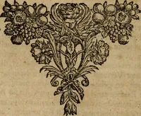 An illustration from 't Verwerd Europa, ofte, Politijke en historische beschryvinge der waare fundamenten en oorsaken van de oorlogen en revolutien in Europa : voornamentlijk in en omtrent de Nederlanden zedert den jaare 1664, gecauseert door de gepretendeerde universele monarchie der Franschen ... (1675)