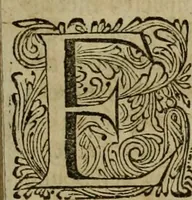 An illustration from 't Verwerd Europa, ofte, Politijke en historische beschryvinge der waare fundamenten en oorsaken van de oorlogen en revolutien in Europa : voornamentlijk in en omtrent de Nederlanden zedert den jaare 1664, gecauseert door de gepretendeerde universele monarchie der Franschen ... (1675)