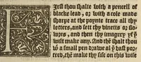 An illustration from A very proper treatise, wherein is briefly sett forthe the arte of limming, which teacheth the order in drawing & tracing of letters, vinets, flowers, armes and imagery ... neuer put in printe before this time (1573)