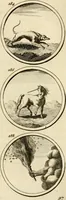 An illustration from Verzámeling van uitgekórene zin-spreuken, en zinnebeeldige print-vercieringen : eertyds, op bevel van den aller doorlugtigsten keizer der Russen, Peter Alexis, of de Gróte, getékent en gesnéden : en nu op nieus verrykt : met agthondert en veertig byschriften in verzen (1743)