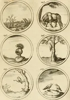 An illustration from Verzámeling van uitgekórene zin-spreuken, en zinnebeeldige print-vercieringen : eertyds, op bevel van den aller doorlugtigsten keizer der Russen, Peter Alexis, of de Gróte, getékent en gesnéden : en nu op nieus verrykt : met agthondert en veertig byschriften in verzen (1743)