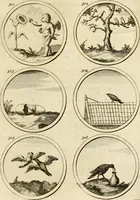 An illustration from Verzámeling van uitgekórene zin-spreuken, en zinnebeeldige print-vercieringen : eertyds, op bevel van den aller doorlugtigsten keizer der Russen, Peter Alexis, of de Gróte, getékent en gesnéden : en nu op nieus verrykt : met agthondert en veertig byschriften in verzen (1743)