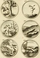 An illustration from Verzámeling van uitgekórene zin-spreuken, en zinnebeeldige print-vercieringen : eertyds, op bevel van den aller doorlugtigsten keizer der Russen, Peter Alexis, of de Gróte, getékent en gesnéden : en nu op nieus verrykt : met agthondert en veertig byschriften in verzen (1743)