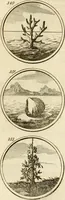 An illustration from Verzámeling van uitgekórene zin-spreuken, en zinnebeeldige print-vercieringen : eertyds, op bevel van den aller doorlugtigsten keizer der Russen, Peter Alexis, of de Gróte, getékent en gesnéden : en nu op nieus verrykt : met agthondert en veertig byschriften in verzen (1743)