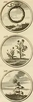 An illustration from Verzámeling van uitgekórene zin-spreuken, en zinnebeeldige print-vercieringen : eertyds, op bevel van den aller doorlugtigsten keizer der Russen, Peter Alexis, of de Gróte, getékent en gesnéden : en nu op nieus verrykt : met agthondert en veertig byschriften in verzen (1743)