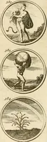 An illustration from Verzámeling van uitgekórene zin-spreuken, en zinnebeeldige print-vercieringen : eertyds, op bevel van den aller doorlugtigsten keizer der Russen, Peter Alexis, of de Gróte, getékent en gesnéden : en nu op nieus verrykt : met agthondert en veertig byschriften in verzen (1743)