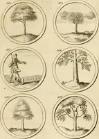 An illustration from Verzámeling van uitgekórene zin-spreuken, en zinnebeeldige print-vercieringen : eertyds, op bevel van den aller doorlugtigsten keizer der Russen, Peter Alexis, of de Gróte, getékent en gesnéden : en nu op nieus verrykt : met agthondert en veertig byschriften in verzen (1743)