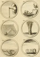 An illustration from Verzámeling van uitgekórene zin-spreuken, en zinnebeeldige print-vercieringen : eertyds, op bevel van den aller doorlugtigsten keizer der Russen, Peter Alexis, of de Gróte, getékent en gesnéden : en nu op nieus verrykt : met agthondert en veertig byschriften in verzen (1743)