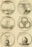 An illustration from Verzámeling van uitgekórene zin-spreuken, en zinnebeeldige print-vercieringen : eertyds, op bevel van den aller doorlugtigsten keizer der Russen, Peter Alexis, of de Gróte, getékent en gesnéden : en nu op nieus verrykt : met agthondert en veertig byschriften in verzen (1743)