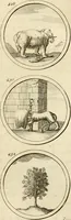 An illustration from Verzámeling van uitgekórene zin-spreuken, en zinnebeeldige print-vercieringen : eertyds, op bevel van den aller doorlugtigsten keizer der Russen, Peter Alexis, of de Gróte, getékent en gesnéden : en nu op nieus verrykt : met agthondert en veertig byschriften in verzen (1743)