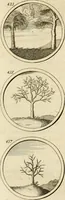 An illustration from Verzámeling van uitgekórene zin-spreuken, en zinnebeeldige print-vercieringen : eertyds, op bevel van den aller doorlugtigsten keizer der Russen, Peter Alexis, of de Gróte, getékent en gesnéden : en nu op nieus verrykt : met agthondert en veertig byschriften in verzen (1743)