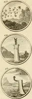 An illustration from Verzámeling van uitgekórene zin-spreuken, en zinnebeeldige print-vercieringen : eertyds, op bevel van den aller doorlugtigsten keizer der Russen, Peter Alexis, of de Gróte, getékent en gesnéden : en nu op nieus verrykt : met agthondert en veertig byschriften in verzen (1743)