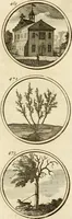 An illustration from Verzámeling van uitgekórene zin-spreuken, en zinnebeeldige print-vercieringen : eertyds, op bevel van den aller doorlugtigsten keizer der Russen, Peter Alexis, of de Gróte, getékent en gesnéden : en nu op nieus verrykt : met agthondert en veertig byschriften in verzen (1743)