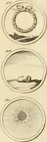 An illustration from Verzámeling van uitgekórene zin-spreuken, en zinnebeeldige print-vercieringen : eertyds, op bevel van den aller doorlugtigsten keizer der Russen, Peter Alexis, of de Gróte, getékent en gesnéden : en nu op nieus verrykt : met agthondert en veertig byschriften in verzen (1743)