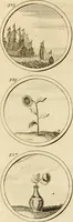 An illustration from Verzámeling van uitgekórene zin-spreuken, en zinnebeeldige print-vercieringen : eertyds, op bevel van den aller doorlugtigsten keizer der Russen, Peter Alexis, of de Gróte, getékent en gesnéden : en nu op nieus verrykt : met agthondert en veertig byschriften in verzen (1743)
