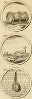 An illustration from Verzámeling van uitgekórene zin-spreuken, en zinnebeeldige print-vercieringen : eertyds, op bevel van den aller doorlugtigsten keizer der Russen, Peter Alexis, of de Gróte, getékent en gesnéden : en nu op nieus verrykt : met agthondert en veertig byschriften in verzen (1743)