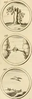 An illustration from Verzámeling van uitgekórene zin-spreuken, en zinnebeeldige print-vercieringen : eertyds, op bevel van den aller doorlugtigsten keizer der Russen, Peter Alexis, of de Gróte, getékent en gesnéden : en nu op nieus verrykt : met agthondert en veertig byschriften in verzen (1743)