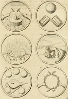 An illustration from Verzámeling van uitgekórene zin-spreuken, en zinnebeeldige print-vercieringen : eertyds, op bevel van den aller doorlugtigsten keizer der Russen, Peter Alexis, of de Gróte, getékent en gesnéden : en nu op nieus verrykt : met agthondert en veertig byschriften in verzen (1743)
