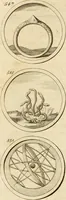An illustration from Verzámeling van uitgekórene zin-spreuken, en zinnebeeldige print-vercieringen : eertyds, op bevel van den aller doorlugtigsten keizer der Russen, Peter Alexis, of de Gróte, getékent en gesnéden : en nu op nieus verrykt : met agthondert en veertig byschriften in verzen (1743)