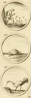 An illustration from Verzámeling van uitgekórene zin-spreuken, en zinnebeeldige print-vercieringen : eertyds, op bevel van den aller doorlugtigsten keizer der Russen, Peter Alexis, of de Gróte, getékent en gesnéden : en nu op nieus verrykt : met agthondert en veertig byschriften in verzen (1743)