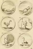 An illustration from Verzámeling van uitgekórene zin-spreuken, en zinnebeeldige print-vercieringen : eertyds, op bevel van den aller doorlugtigsten keizer der Russen, Peter Alexis, of de Gróte, getékent en gesnéden : en nu op nieus verrykt : met agthondert en veertig byschriften in verzen (1743)
