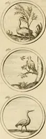 An illustration from Verzámeling van uitgekórene zin-spreuken, en zinnebeeldige print-vercieringen : eertyds, op bevel van den aller doorlugtigsten keizer der Russen, Peter Alexis, of de Gróte, getékent en gesnéden : en nu op nieus verrykt : met agthondert en veertig byschriften in verzen (1743)
